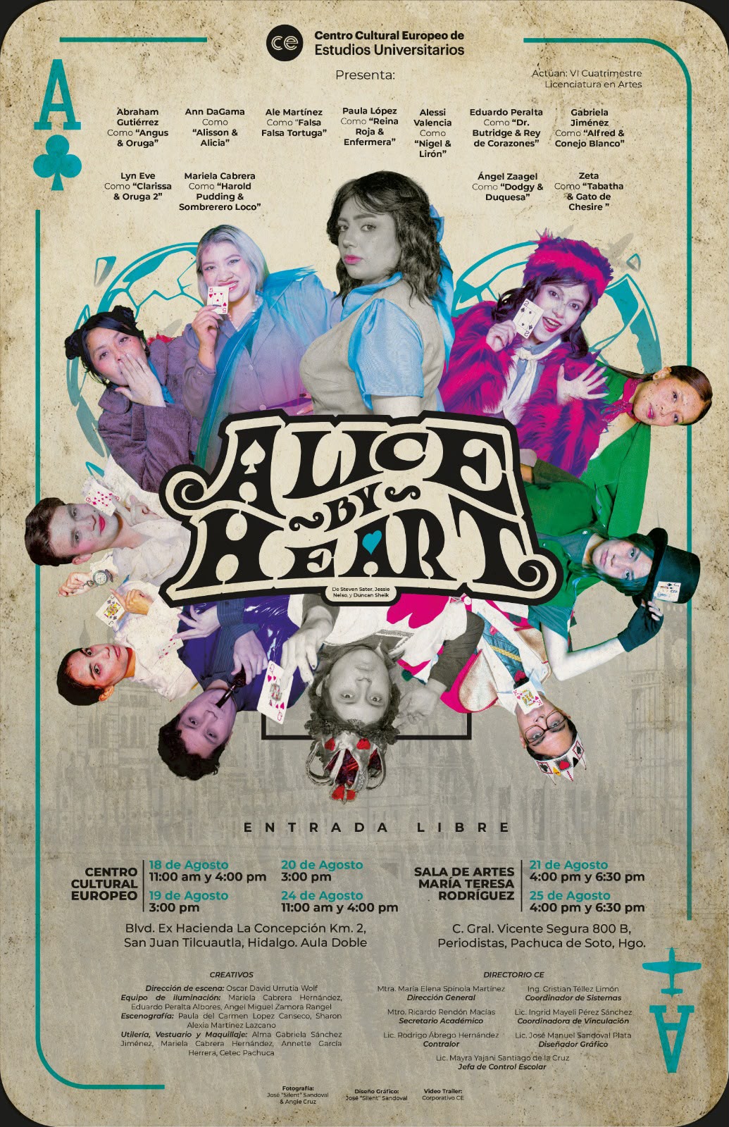 Poster de Alice - segunda imagen